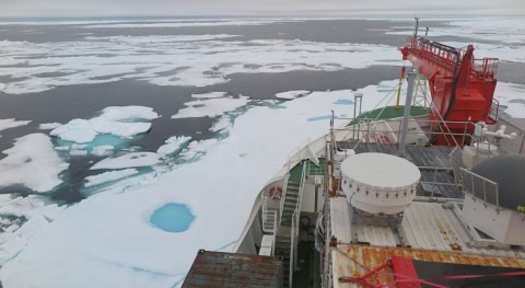 Last ice-covered parts of summertime Arctic Ocean vulnerable to climate change