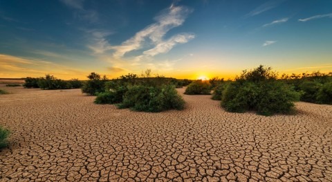 Increased heat-drought combinations could damage crops globally, says study