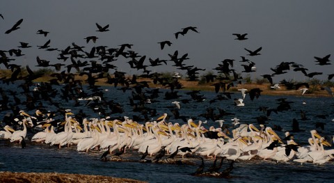 India names two new Wetlands of International Importance