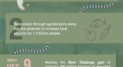 Infographic World Environment Day 2021: Opportunities and benefits of restoration