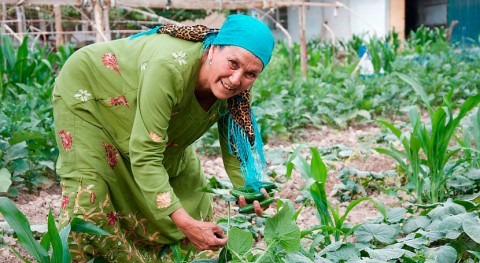 Innovations and smart water technologies key to food systems transformation in Central Asia