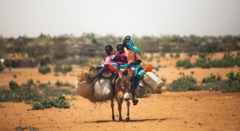 Internal environmental displacement: threat that needs to be controlled