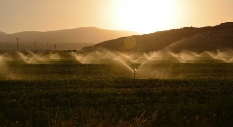 Irrigation expansion could feed 800 million more people