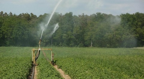 Inaccurate global irrigation models can cause extensive societal harm
