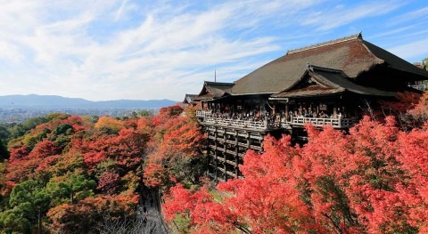 Kiyomizudera Temple: Japan’s pure water