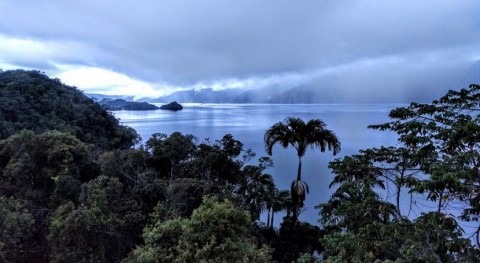 Signs of ecosystem collapse in significant Papua New Guinea wetland