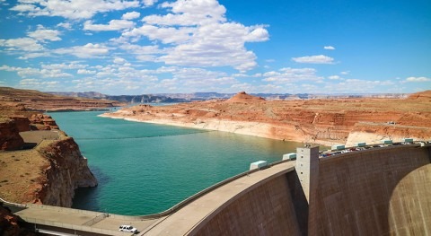 As climate change and overuse shrink Lake Powell, the emergent landscape is coming back to life