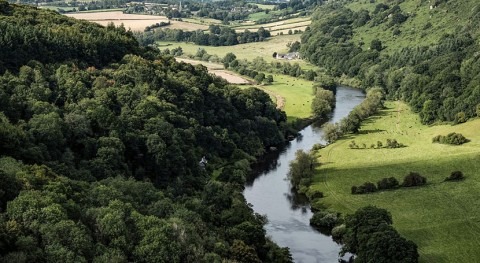 Toxic chemicals persist in every stretch of English rivers