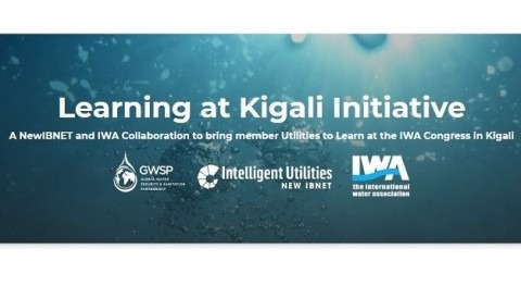 New IBNET “Learn at Kigali Initiative”