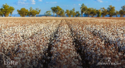 Semtech’s LoRa Technology creates smarter farming networks in Australia