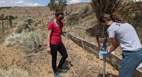 Elevated levels of arsenic and other metals found in Nevada’s private wells