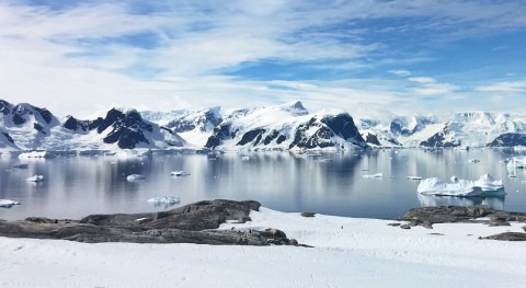 How old is the oldest ice in Antarctica?