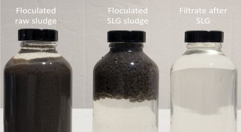 From TAGs to riches – the Orège solid-liquid-gas story