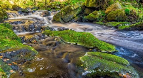 Anglian Water will invest £7 million to improve drought resilience and restore rivers