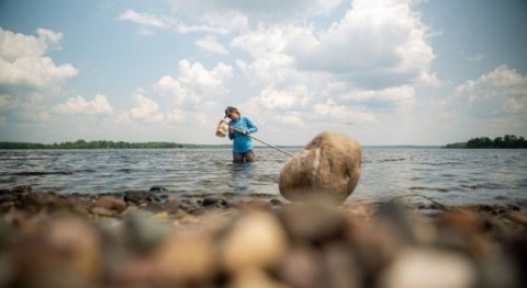 Conserving critical habitat in the face of climate change in Midwestern lakes by managing land use