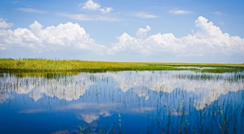 Florida to spend $1.5 billion for Everglades restoration and water quality improvements