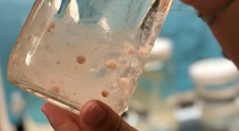 Microplastics million times more abundant in the ocean than previously thought