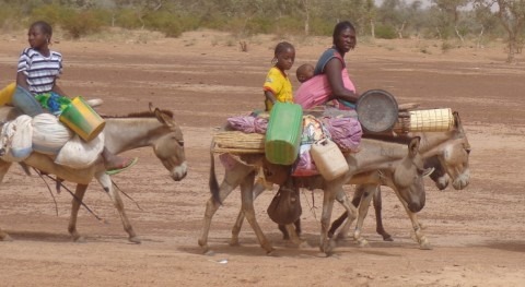 What do desertification and women have to do with each other?