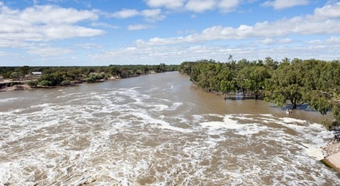 5 ways the government can clean up the Murray-Darling Basin Plan