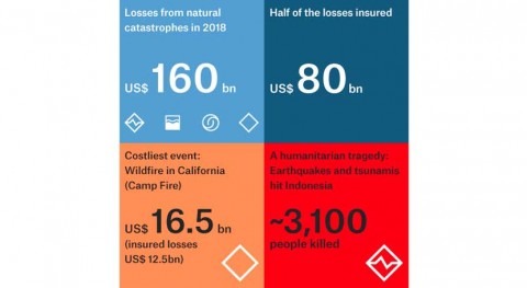 Extreme storms, wildfires and droughts cause heavy natural catastrophe losses in 2018