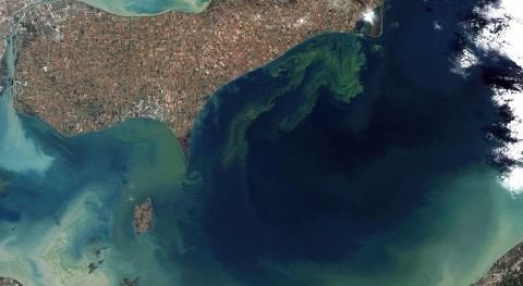 Estuaries face higher nutrient loads in the future - particularly on the Atlantic coast