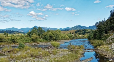 Study: New Zealand's rivers quality have way to go