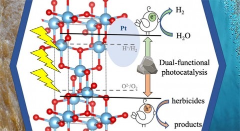 Researchers develop catalyst that purifies herbicide-tainted water and produces hydrogen