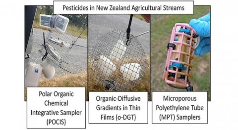 Pesticides banned in Europe present in New Zealand streams, new study finds