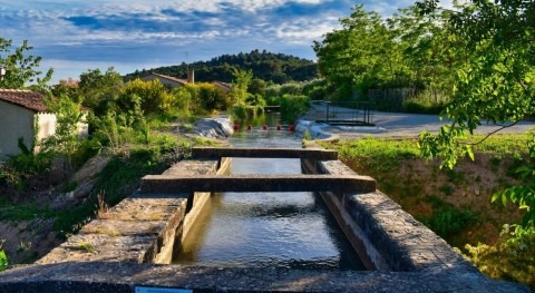 Global water under pressure: what AQUASTAT 2025 reveals about agriculture, efficiency and stress