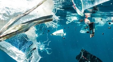 Genetically modified bacteria break down plastics in saltwater