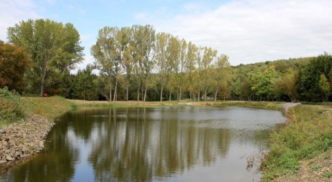 First two nature-based water retention measures are operational in Hungary