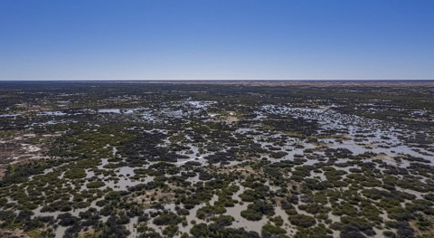 Australia names Caryapundy Swamp as its 67th Wetland of International Importance