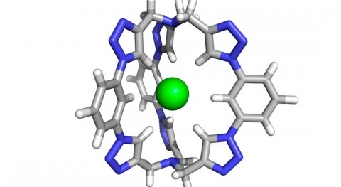 Researchers synthesize molecular 'cage' to trap chloride