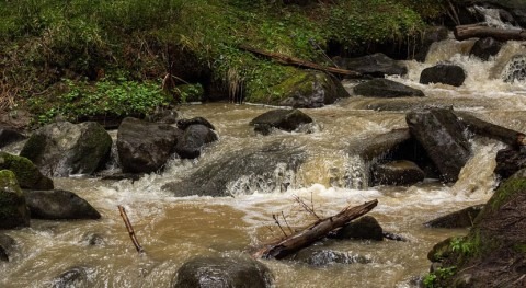 More than half of EU waters still struggle with pollution and scarcity, report warns