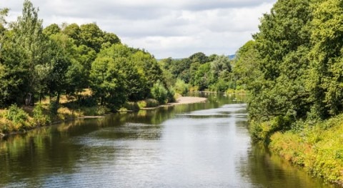 Toxic chemicals hindering the recovery of Britain’s rivers