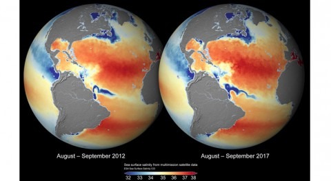 New maps of salinity reveal the impact of climate variability on oceans