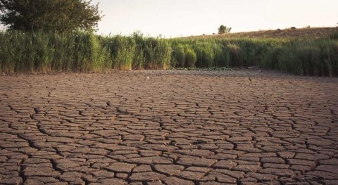 Desertification and Drought Day 2022: Rising up from drought together