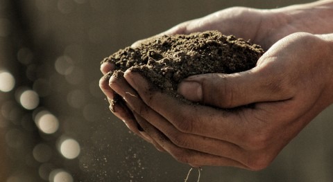 World Soil Day 2023: Soil and water, source of life