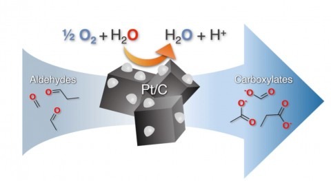 Going platinum: non-toxic catalyst for clean, re-usable water