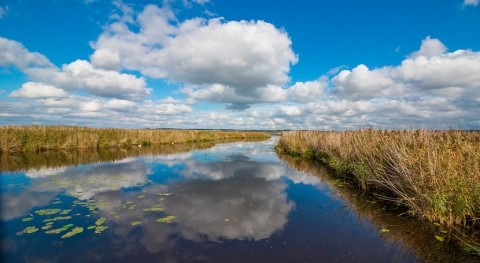 Blue Account launches comprehensive coastal wetlands acreage database