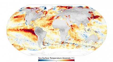 Pacific Ocean global sea surface temperatures reach record levels in 2023