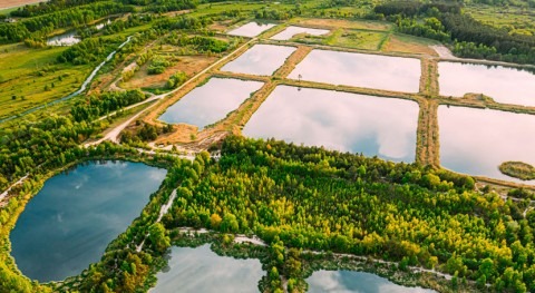 Stormwater management ponds may not hold the solution for depleting wetlands