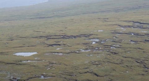£22 million in funding to restore Scotland’s iconic peatlands