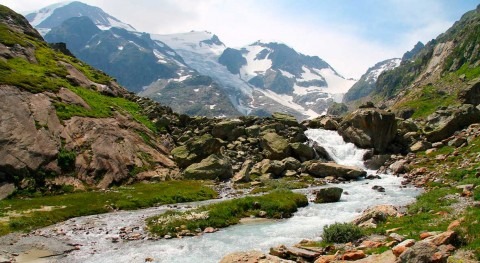 Mountain vegetation dries out Alpine water fluxes