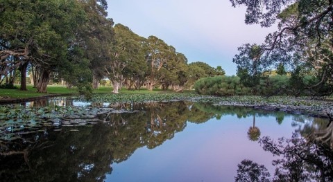 Sydney Water to engage with community in push for recycled water