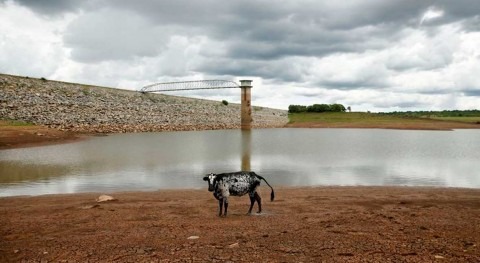 Zimbabwe's drought-hit Bulawayo limits tap water to just day week