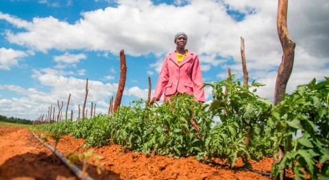 Hit by worsening drought, Zimbabwe taps funding for water-wise farming