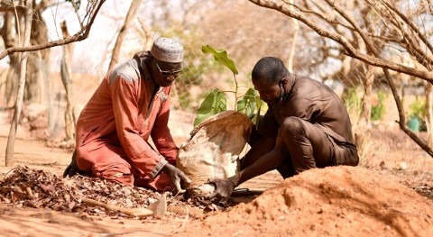 African leaders warn COVID-19 crisis harming climate adaptation push
