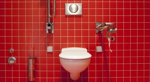Scientists shine light on what comes up when you flush