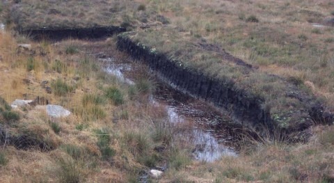 Widespread drying of European peatlands in recent centuries